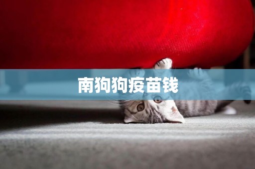 南狗狗疫苗錢