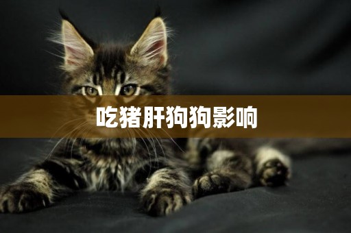 吃豬肝狗狗影響