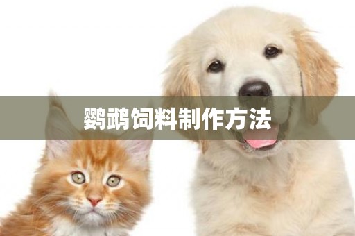 鸚鵡飼料制作方法