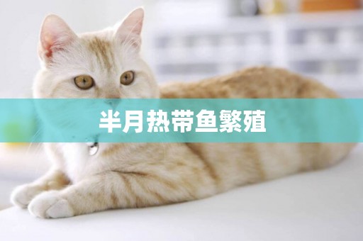 半月熱帶魚繁殖