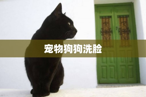 寵物狗狗洗臉