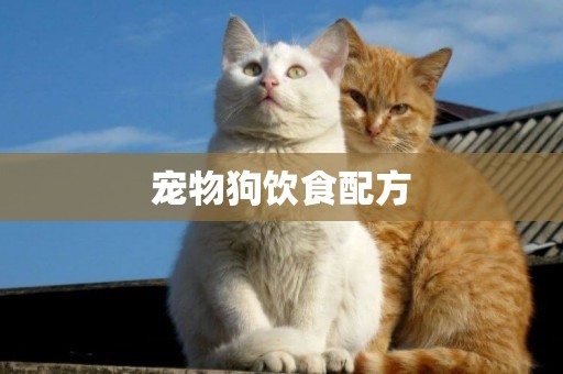 寵物狗飲食配方