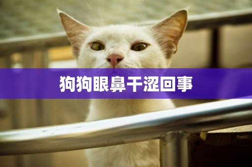 狗狗眼鼻干澀回事
