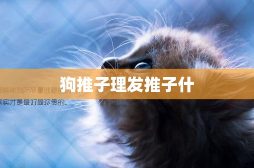 狗推子理發推子什