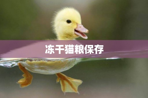 凍干貓糧保存