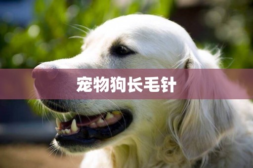 寵物狗長毛針