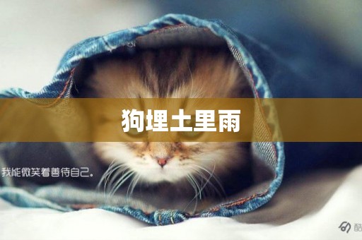 狗埋土里雨