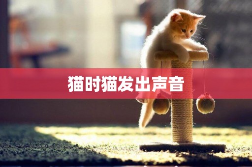 貓時貓發出聲音