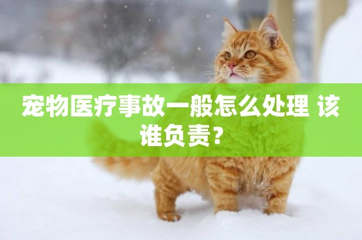 寵物醫療事故一般怎么處理 該誰負責？