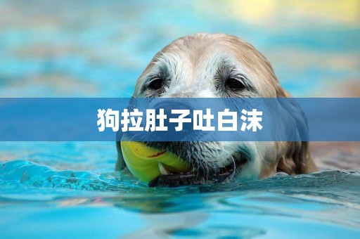 狗拉肚子吐白沫