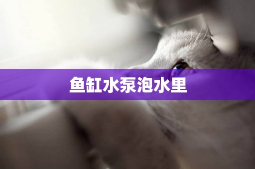 魚缸水泵泡水里