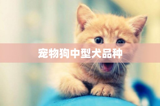 寵物狗中型犬品種