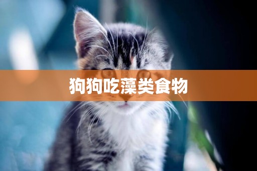 狗狗吃藻類食物