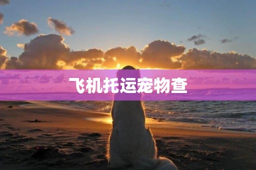 飛機托運寵物查