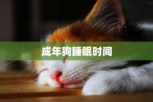 成年狗睡眠時間