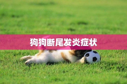 狗狗斷尾發炎癥狀