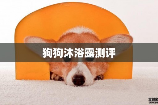 狗狗沐浴露測評