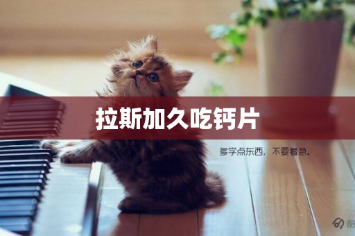 拉斯加久吃鈣片