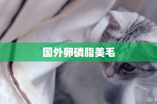 國外卵磷脂美毛