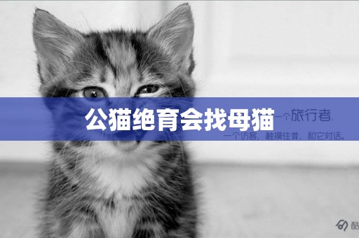 公貓絕育會找母貓