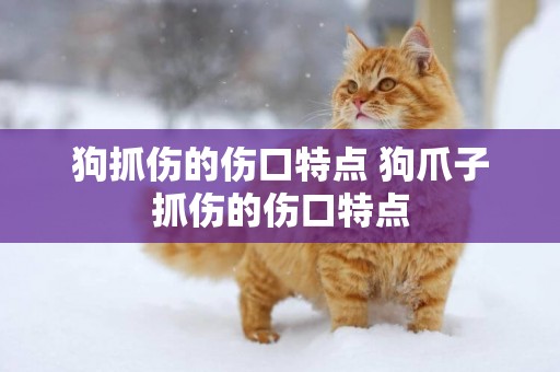狗抓傷的傷口特點 狗爪子抓傷的傷口特點