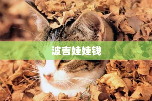 波吉娃娃錢