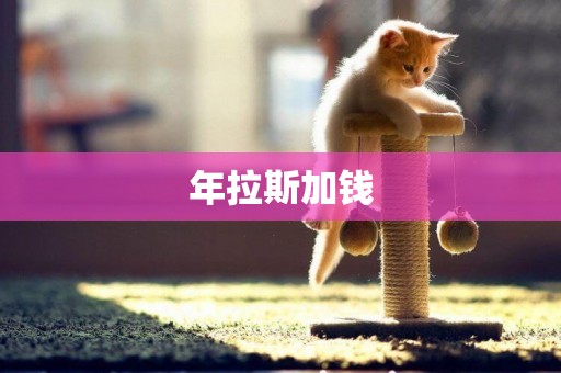 年拉斯加錢