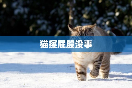 貓擦屁股沒事