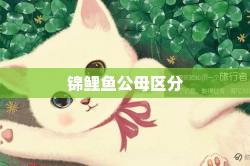 錦鯉魚公母區分