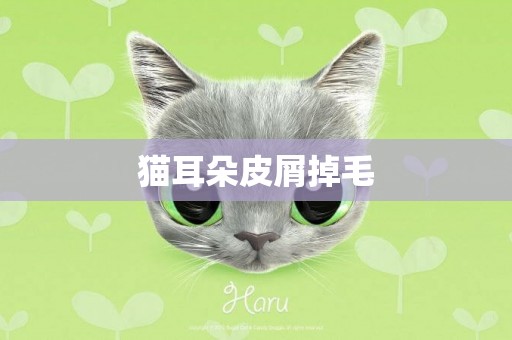 貓耳朵皮屑掉毛