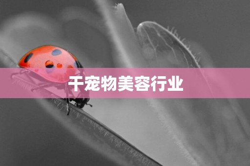 干寵物美容行業