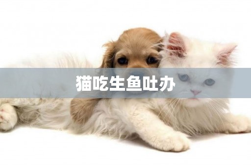 貓吃生魚吐辦