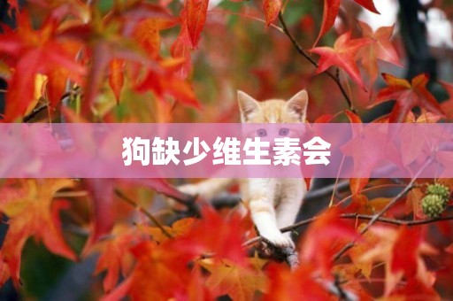 狗缺少維生素會