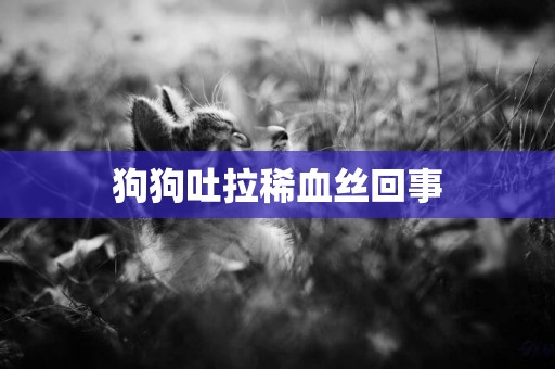 狗狗吐拉稀血絲回事