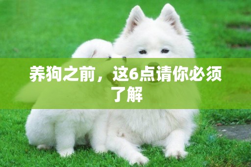 養狗之前，這6點請你必須了解