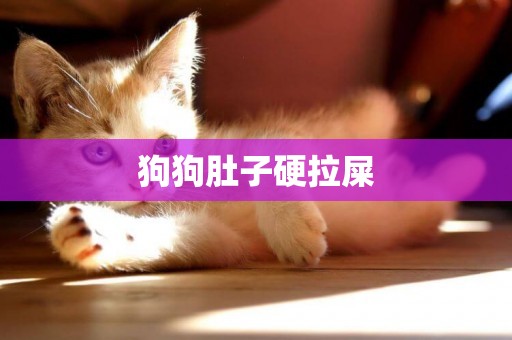 狗狗肚子硬拉屎