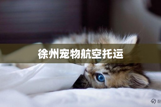 徐州寵物航空托運