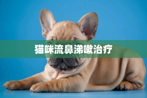 貓咪流鼻涕嗽治療