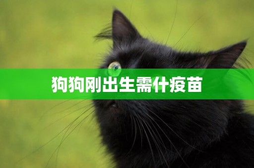 狗狗剛出生需什疫苗