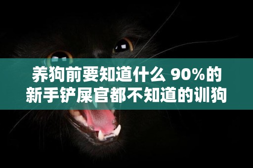 養狗前要知道什么 90%的新手鏟屎官都不知道的訓狗誤區