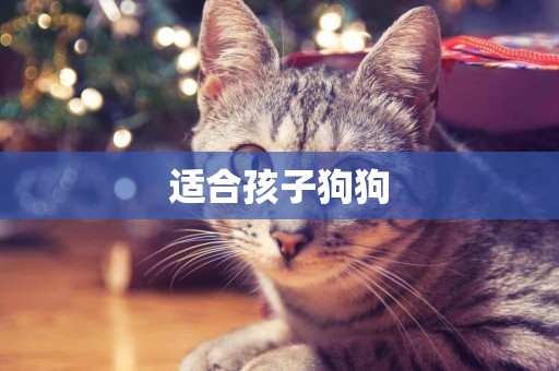 適合孩子狗狗