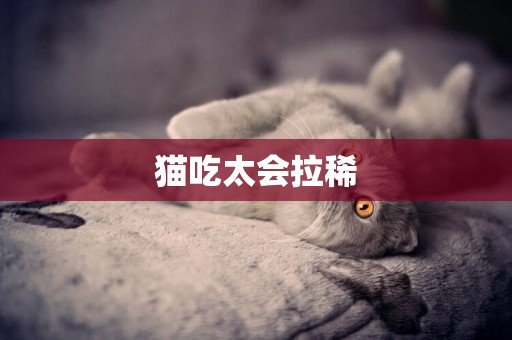 貓吃太會拉稀