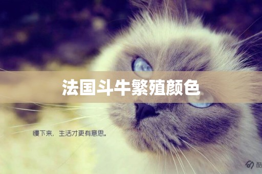 法國斗牛繁殖顏色