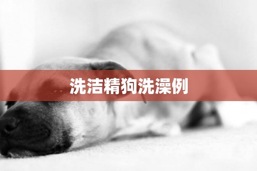 洗潔精狗洗澡例