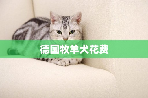 德國牧羊犬花費