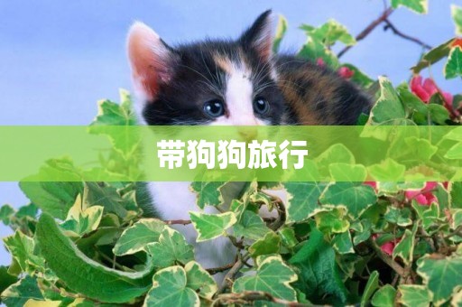 帶狗狗旅行