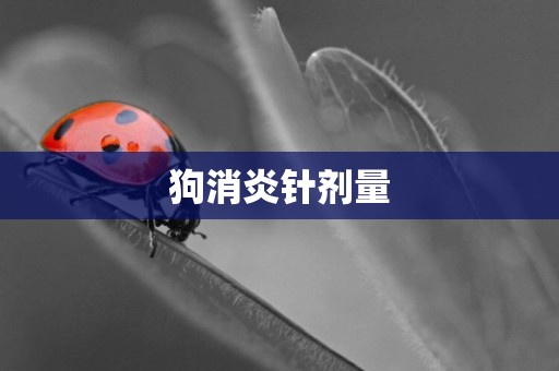 狗消炎針劑量