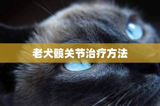 老犬髖關節治療方法