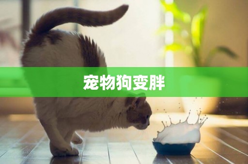 寵物狗變胖
