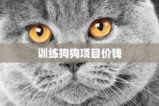 訓練狗狗項目價錢